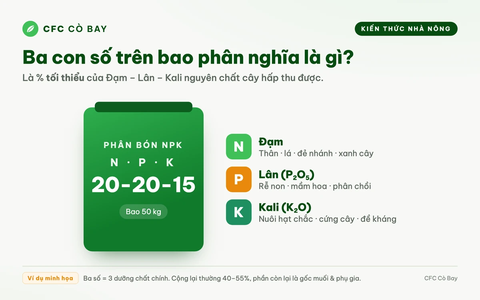 Ba con số trên bao phân nghĩa là gì?