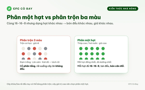 Cùng là NPK 16-16-8 mà sao giá mỗi hãng mỗi khác?