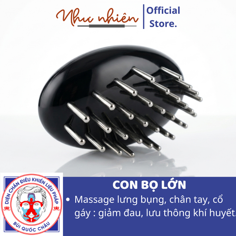 CON BỌ LỚN