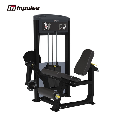 IF9305 - LEG EXTENSION (200LBS)
