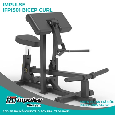 IFP1501 - Bicep Curl