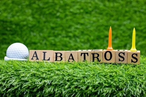 Albatross golf là gì? Những kỷ lục albatross golf ấn tượng