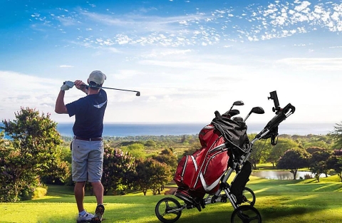 Buggy Golf và Cart Golf là gì? Cách phân biệt 2 loại xe