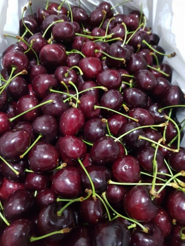 quả cherry bao nhiêu tiền 1kg