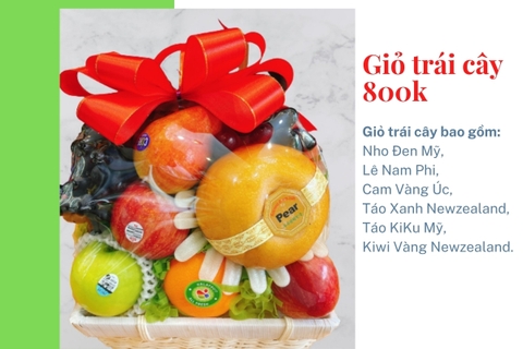 Giỏ trái cây 800k mã HL8001