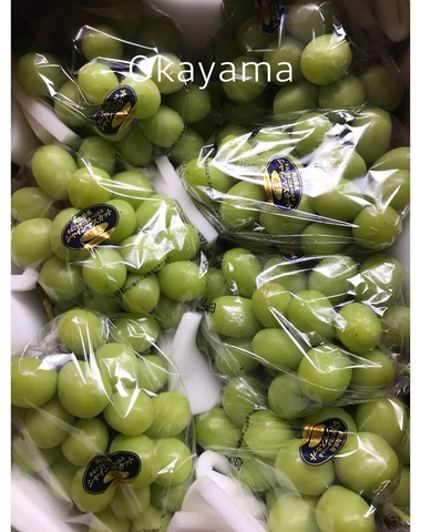 Nho sữa Nhật Okayama