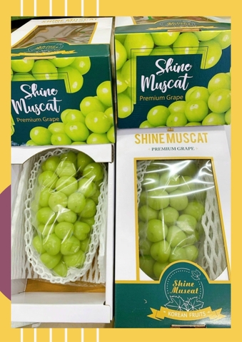 Nho sữa Hàn Quốc Hộp 1.1-1.3kg