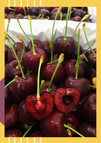 Cherry Úc