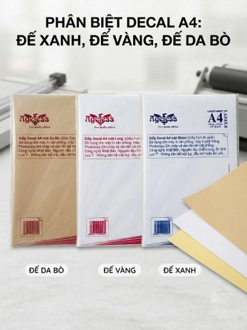 Decal A4 Đế Xanh, Đế Vàng, Đế Da Bò Khác Nhau Thế Nào?