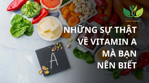 Những Sự Thật Về Vitamin A Mà Bạn Nên Biết