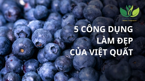 Những Giá Trị Dinh Dưỡng Tuyệt Vời Của Quả Việt Quất Mà Bạn Nên Biết