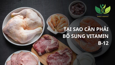 Những Lý Do Tại Sao Bạn Nên Bổ Sung Vitamin B-12 Mỗi Ngày Để Hỗ Trợ Cải Thiện Sức Khoẻ