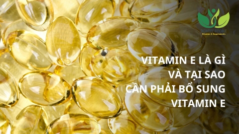 Vitamin E Là Gì Và Tại Sao Ta Cần Phải Bổ Sung Vitamin E?
