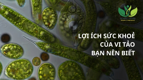Vi Tảo – Siêu Thực Phẩm Xanh Giàu Dinh Dưỡng Giúp Tăng Cường Sức Khoẻ Toàn Diện