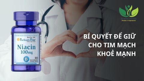 Sức Khoẻ Tim Mạch Và Bí Quyết Để Giữ Cho Tim Luôn Khoẻ Mạnh
