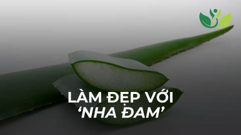 Nha Đam – 