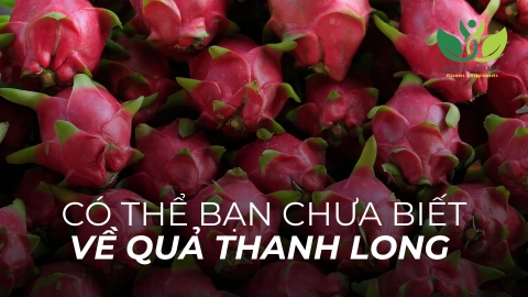 Bạn Có Biết Giá Trị Dinh Dưỡng Thật Sự Của Quả Thanh Long?