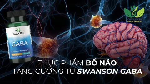 Những Thực Phẩm Hỗ Trợ Hoạt Động Não Bộ Và Giải Pháp Tăng Cường Tinh Thần Với Swanson GABA