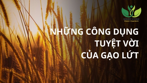 Những Lợi Ích Sức Khỏe Tuyệt Vời Của Gạo Lứt