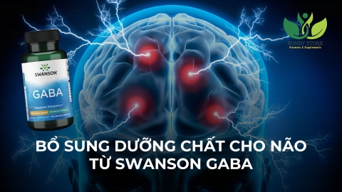 Bổ Sung Dưỡng Chất Cho Bộ Não Khoẻ Mạnh Từ Swanson GABA