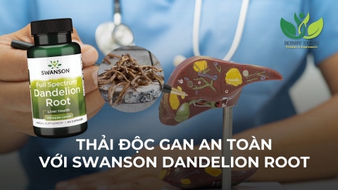 THẢI ĐỘC GAN AN TOÀN, HIỆU QUẢ VỚI VIÊN UỐNG SWANSON DANDELION ROOT