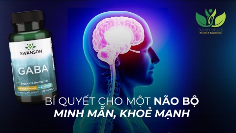 Bí Quyết Cho Một Não Bộ Minh Mẫn, Khoẻ Mạnh - Swanson GABA