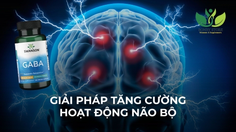GIỚI THIỆU VỀ GIẢI PHÁP HỖ TRỢ TĂNG CƯỜNG HOẠT ĐỘNG NÃO - SWANSON GABA