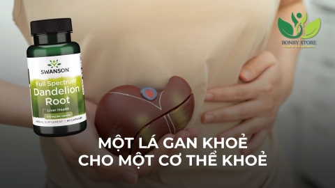 MỘT LÁ GAN KHOẺ CHO MỘT CƠ THỂ KHOẺ MẠNH - GIẢI PHÁP HỖ TRỢ TỪ SWANSON DANDELION ROOT