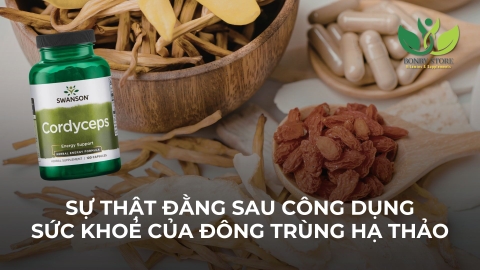 SỰ THẬT ĐẰNG SAU CÔNG DỤNG SỨC KHOẺ CỦA ĐÔNG TRÙNG HẠ THẢO