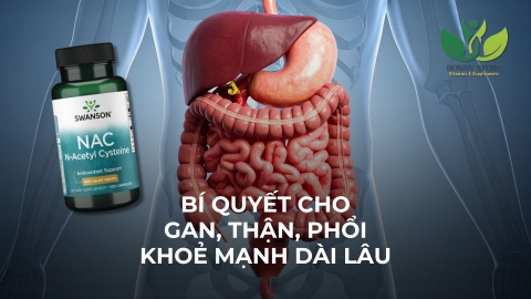 BÍ QUYẾT CHO GAN, THẬN, PHỔI KHOẺ MẠNH DÀI LÂU