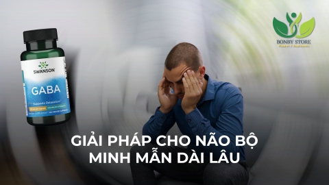 GIẢI PHÁP CHO NÃO BỘ MINH MẪN DÀI LÂU
