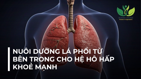 NUÔI DƯỠNG LÁ PHỔI TỪ BÊN TRONG CHO HỆ HÔ HẤP KHOẺ MẠNH