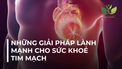 NHỮNG GIẢI PHÁP LÀNH MẠNH CHO SỨC KHOẺ TIM MẠCH