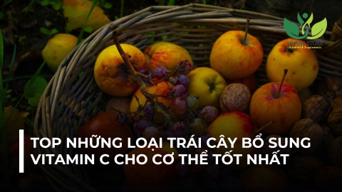 TOP NHỮNG LOẠI TRÁI CÂY BỔ SUNG VITAMIN C CHO CƠ THỂ TỐT NHẤT