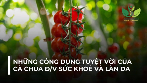 NHỮNG CÔNG DỤNG TUYỆT VỜI CỦA QUẢ CÀ CHUA ĐỐI VỚI SỨC KHOẺ VÀ LÀN DA