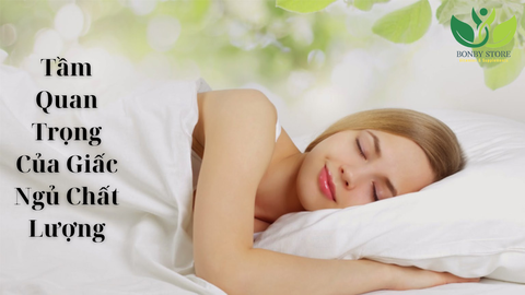 Mất Ngủ Và Giấc Ngủ Kém Chất Lượng