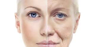 Collagen và sự lão hóa: Những điều bạn cần biết