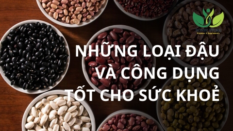 NHỮNG LOẠI ĐẬU TỐT CHO SỨC KHOẺ MÀ BẠN CẦN BIẾT