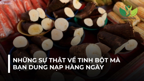 NHỮNG SỰ THẬT VỀ TINH BỘT MÀ BẠN DUNG NẠP HÀNG NGÀY