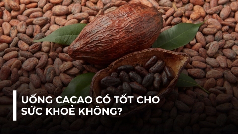 UỐNG CACAO CÓ TỐT CHO SỨC KHOẺ KHÔNG?