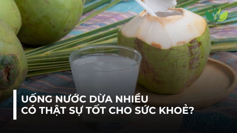 UỐNG NƯỚC DỪA NHIỀU CÓ THẬT SỰ TỐT CHO SỨC KHOẺ?