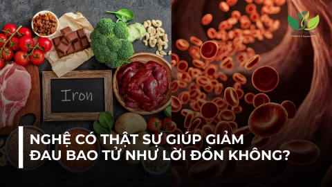 THIẾU SẮT CÓ NGUY HIỂM KHÔNG? NGUYÊN NHÂN, DẤU HIỆU VÀ CÁCH PHÒNG NGỪA