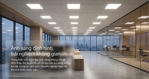 Đèn LED Panel là gì? Các loại đèn panel âm trần bán chạy hiện nay