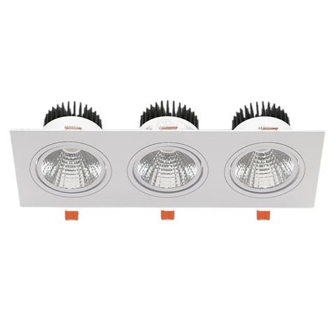 Đèn Downlight Âm Trần 3x10W Paragon OLS310L30