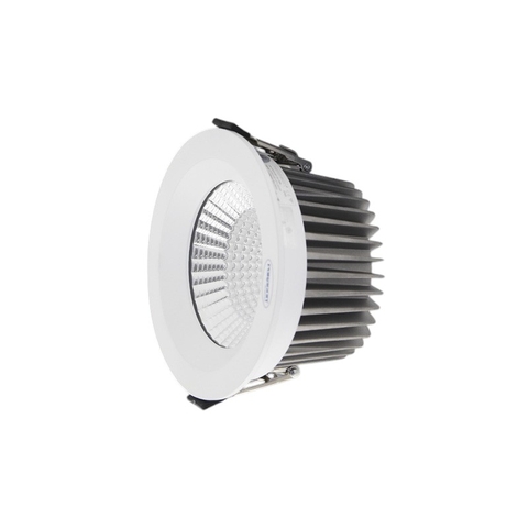 Đèn LED Downlight Chống Thấm 10W Paragon