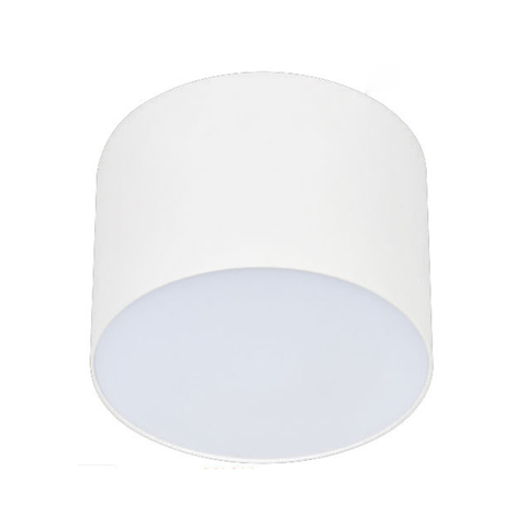 Đèn Lon Nổi Chống Chói Euroto 50W LN-214/LN-219