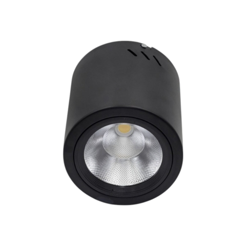 Đèn LED Downlight 20W Gắn Nổi Trụ Tròn - Paragon PSDOO170L20