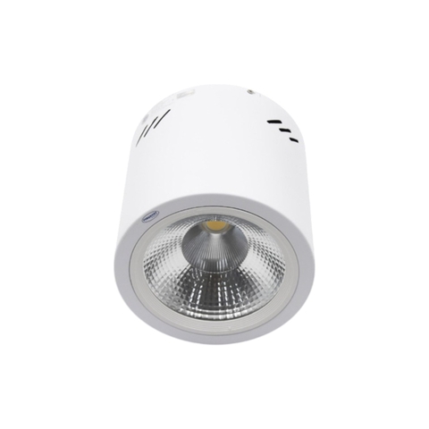 Đèn LED Downlight 25W Gắn Nổi Trụ Tròn - Paragon PSDOO196L25