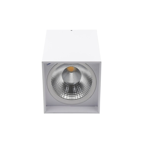 Đèn LED Downlight 10W Gắn Nổi Trụ Vuông-Paragon PSDLL136L10