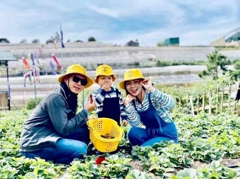 DaLat Bunny Hill Trải Nghiệm Một Ngày Làm Nông Dân Ở Xứ Sở Mộng Mơ